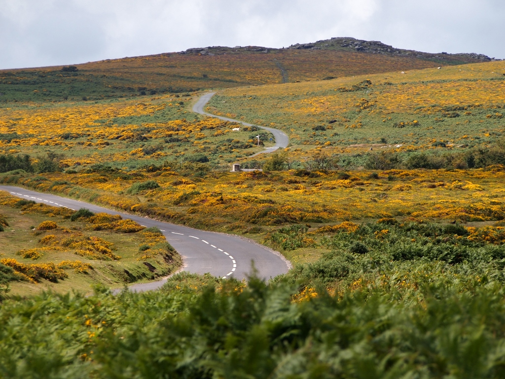 August 13  Dartmoor National Park Voyage the Vikings