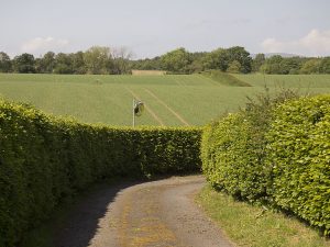 Our Doune Driveway