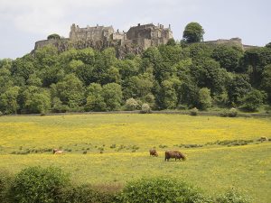 Stirling Castle