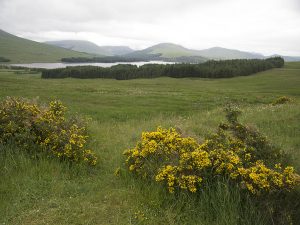 Glen Etive