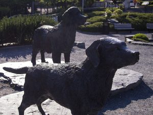 Labrador and Newfie Statues in St. John's