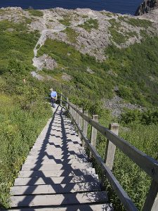 Staircase on Signal Hill Coastal Walk