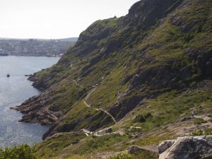 Coastal Walk in St. John's