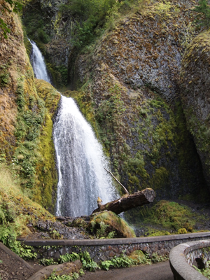 August 23: Columbia River Gorge, Oregon – Aunt Esther's Vintage Postcards